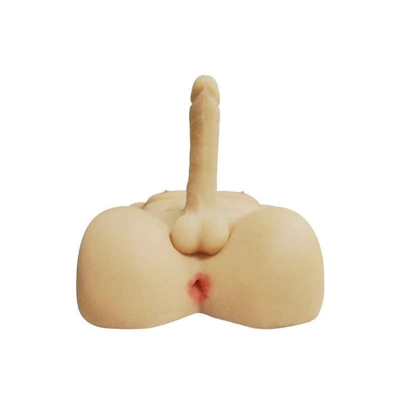 Torso Masculino