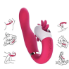 Rabbit vaquera